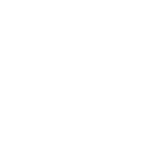 Icon Formação de Conselhos Executivos